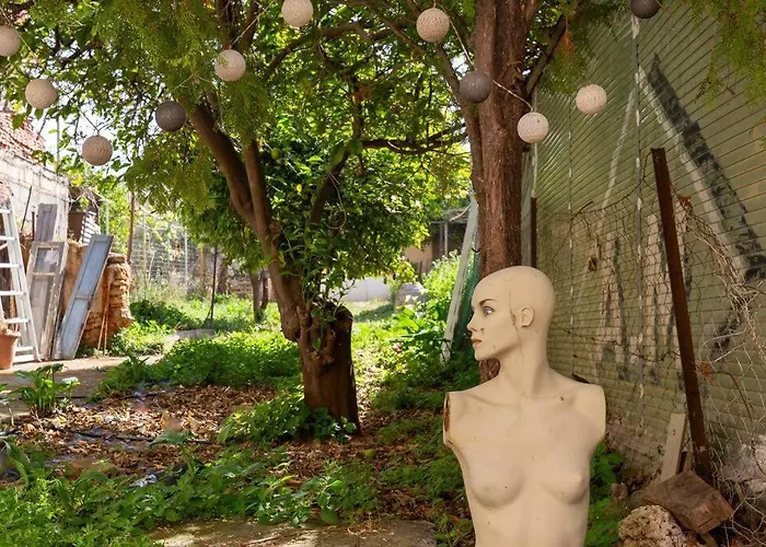 Backyard Art Studio